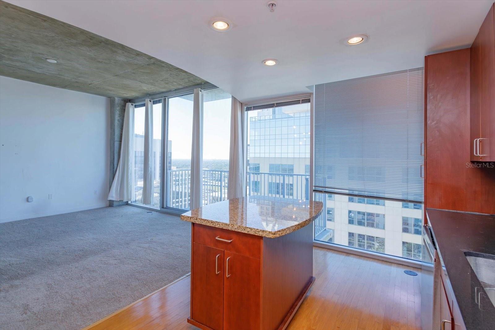 155 S COURT AVE #2008, ORLANDO, FL, 32801