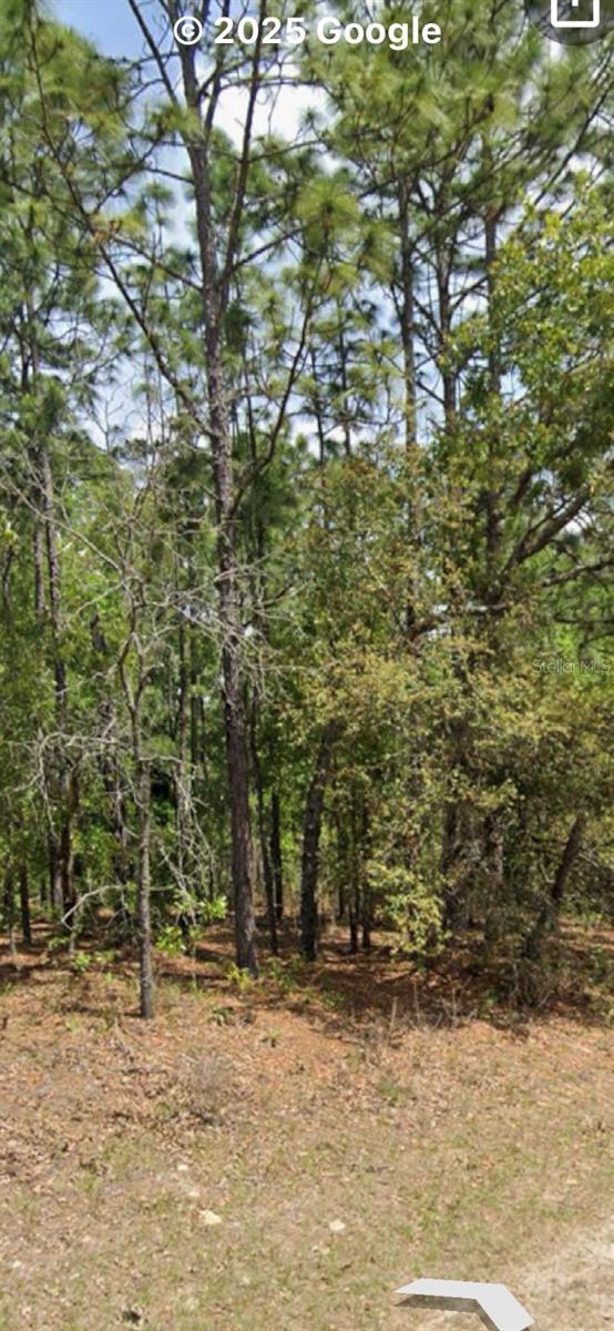 7830 N SARAZEN DR, CITRUS SPRINGS, FL, 34434