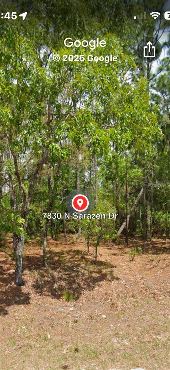 7830 N SARAZEN DR, CITRUS SPRINGS, FL, 34434