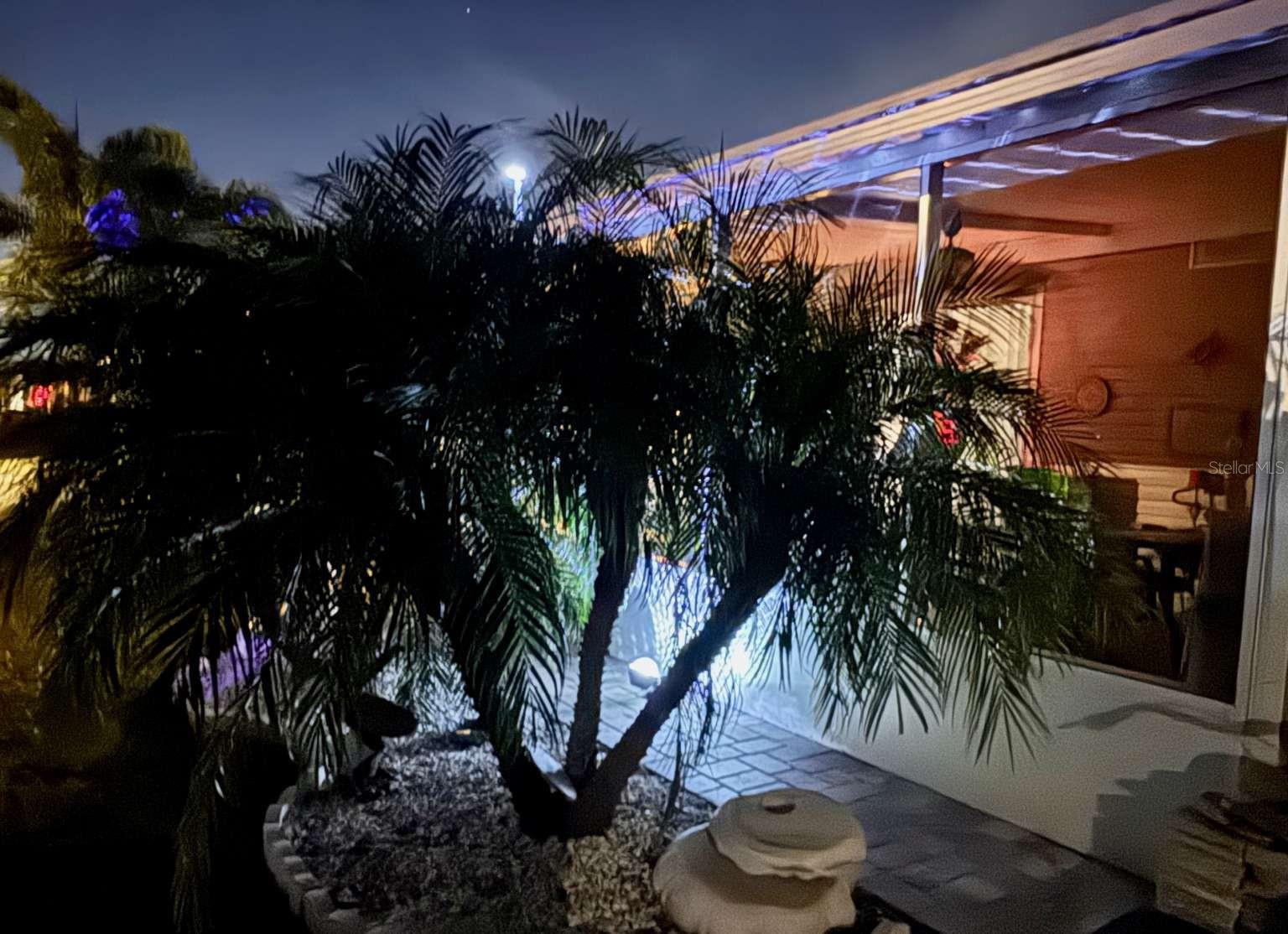 2101 HILO DR, HOLIDAY, FL, 34691
