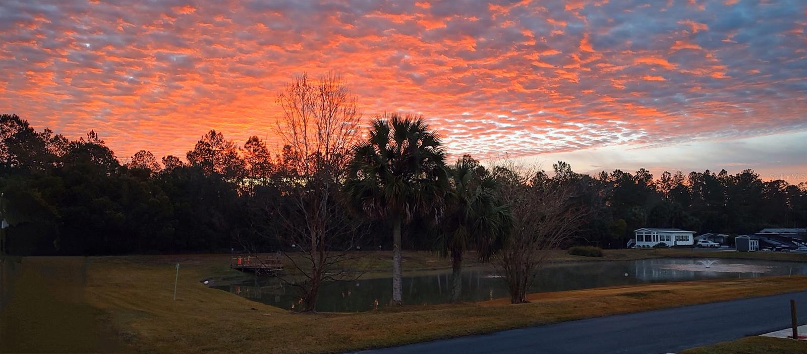 3240 NE 104TH AVE, SILVER SPRINGS, FL, 34488