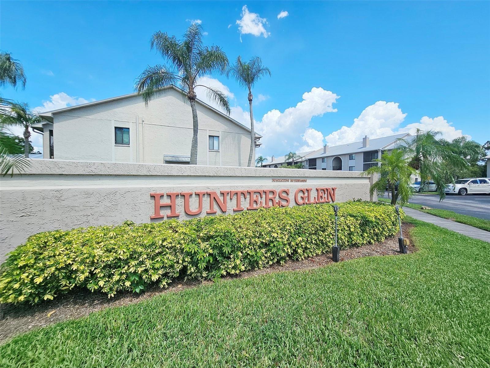 2067 HUNTERS GLEN DR #313, DUNEDIN, FL, 34698