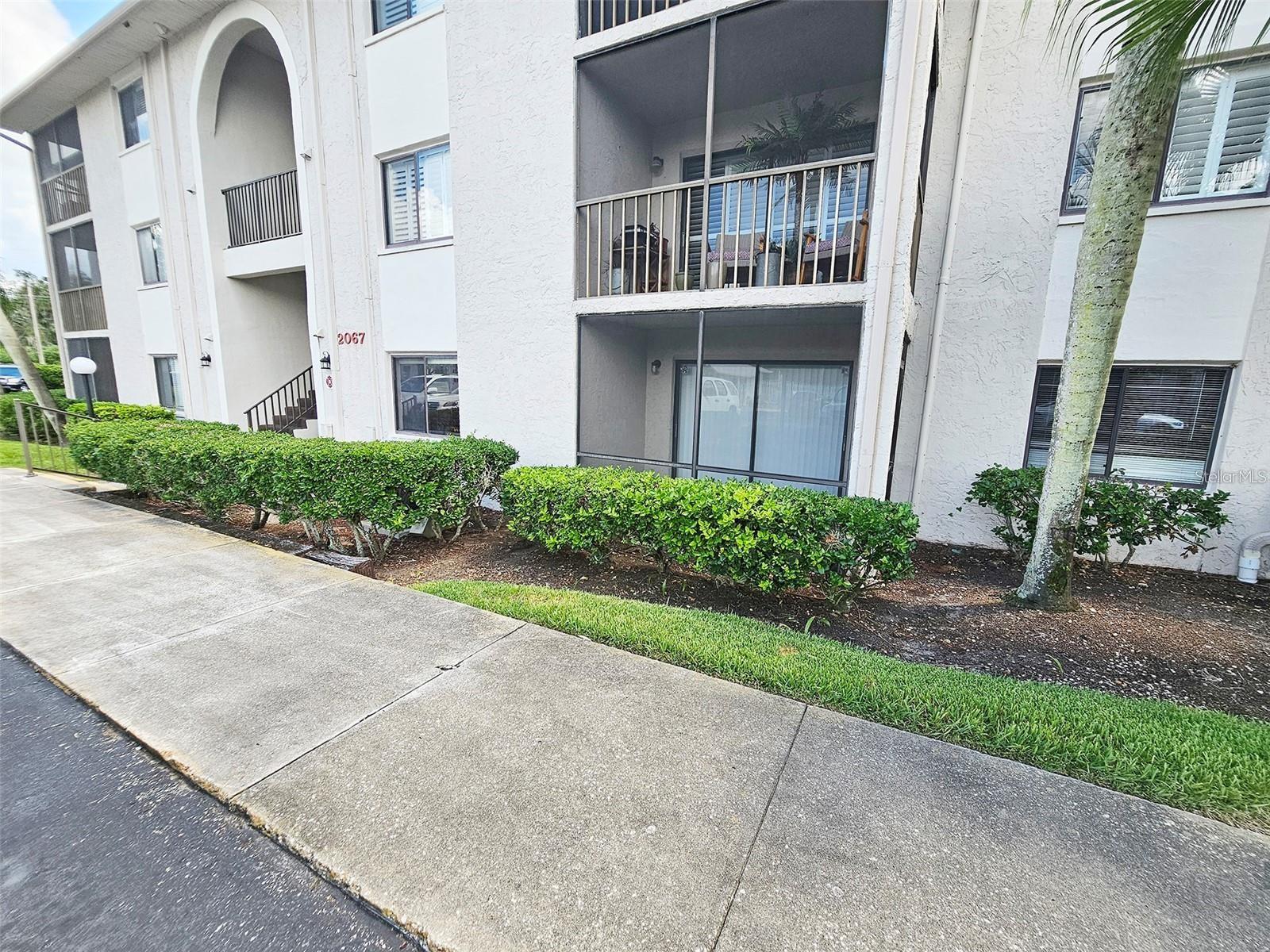 2067 HUNTERS GLEN DR #313, DUNEDIN, FL, 34698