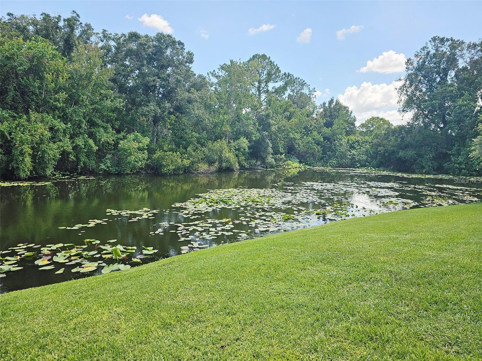 2067 HUNTERS GLEN DR #313, DUNEDIN, FL, 34698