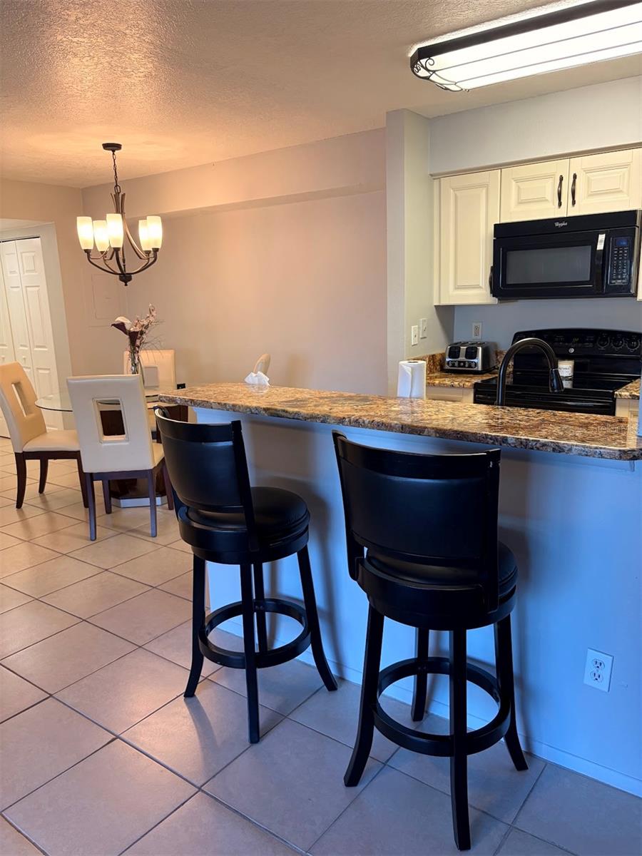 2067 HUNTERS GLEN DR #313, DUNEDIN, FL, 34698