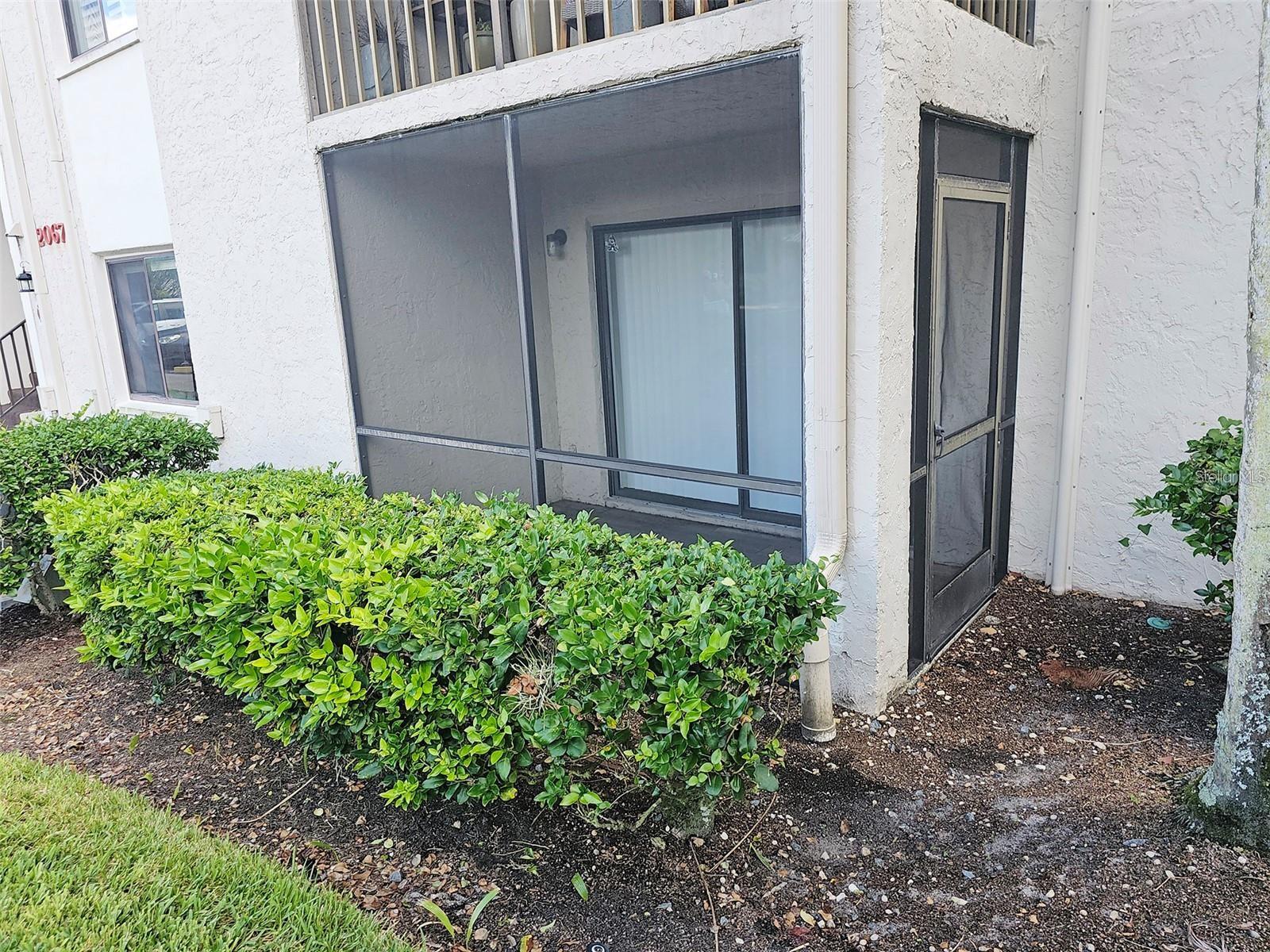 2067 HUNTERS GLEN DR #313, DUNEDIN, FL, 34698
