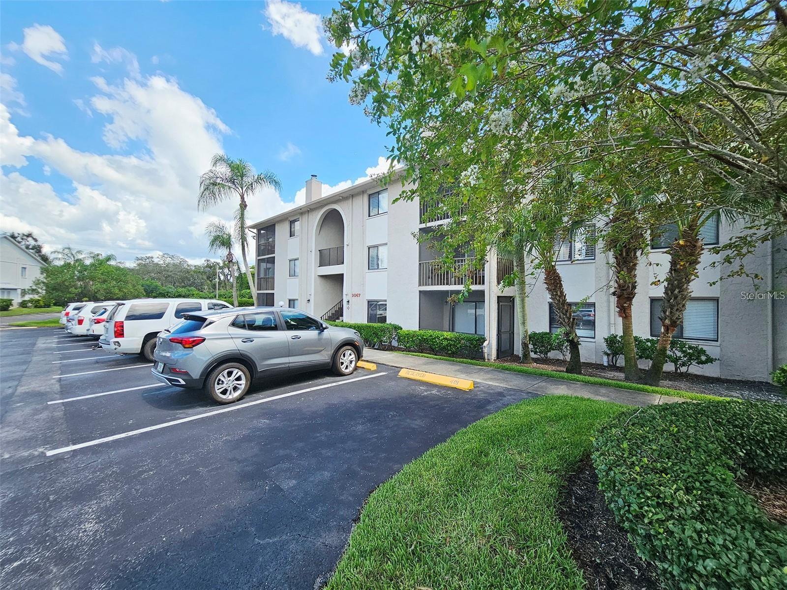 2067 HUNTERS GLEN DR #313, DUNEDIN, FL, 34698