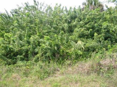 735 S SENDERO ST, CLEWISTON, FL, 33440