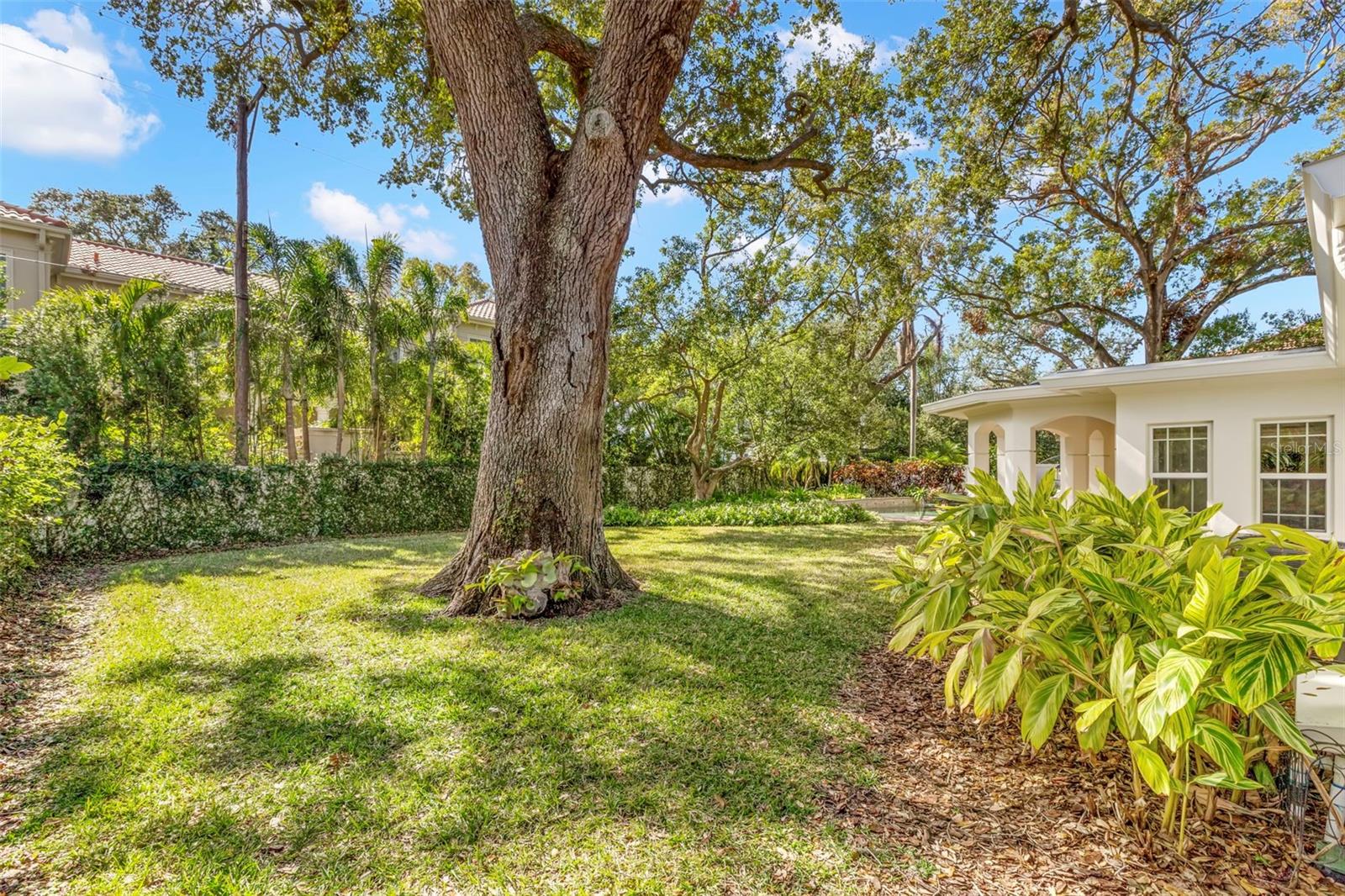 4306 W SWANN AVE, TAMPA, FL, 33609