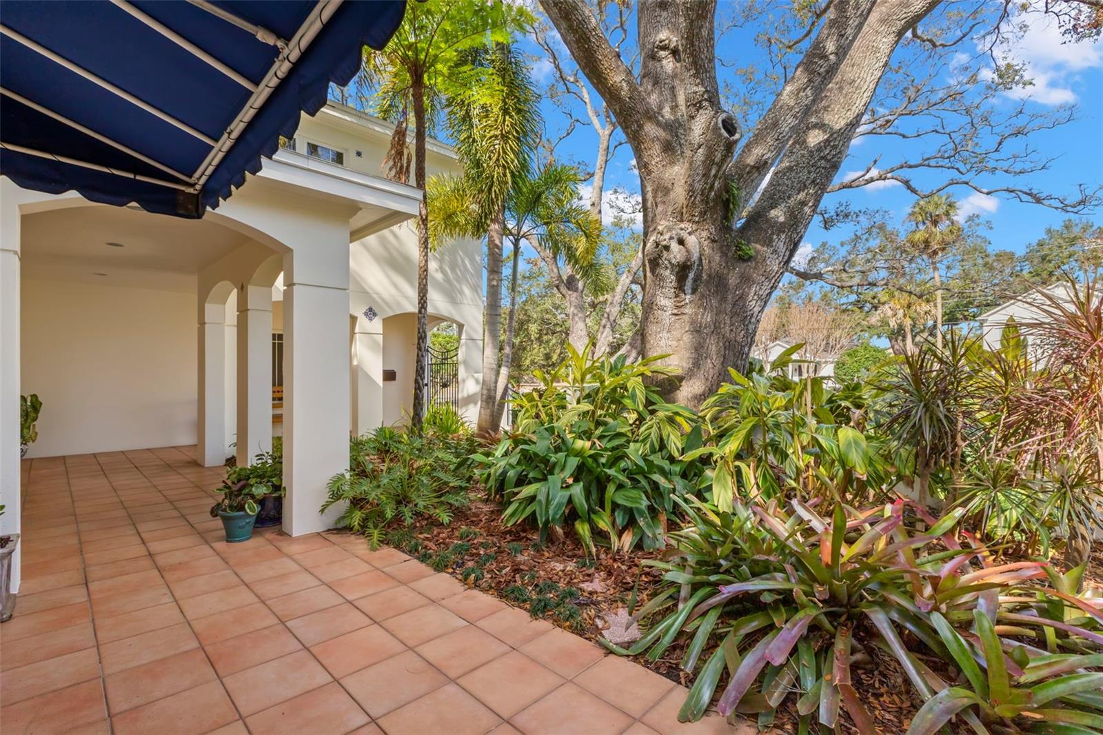 4306 W SWANN AVE, TAMPA, FL, 33609