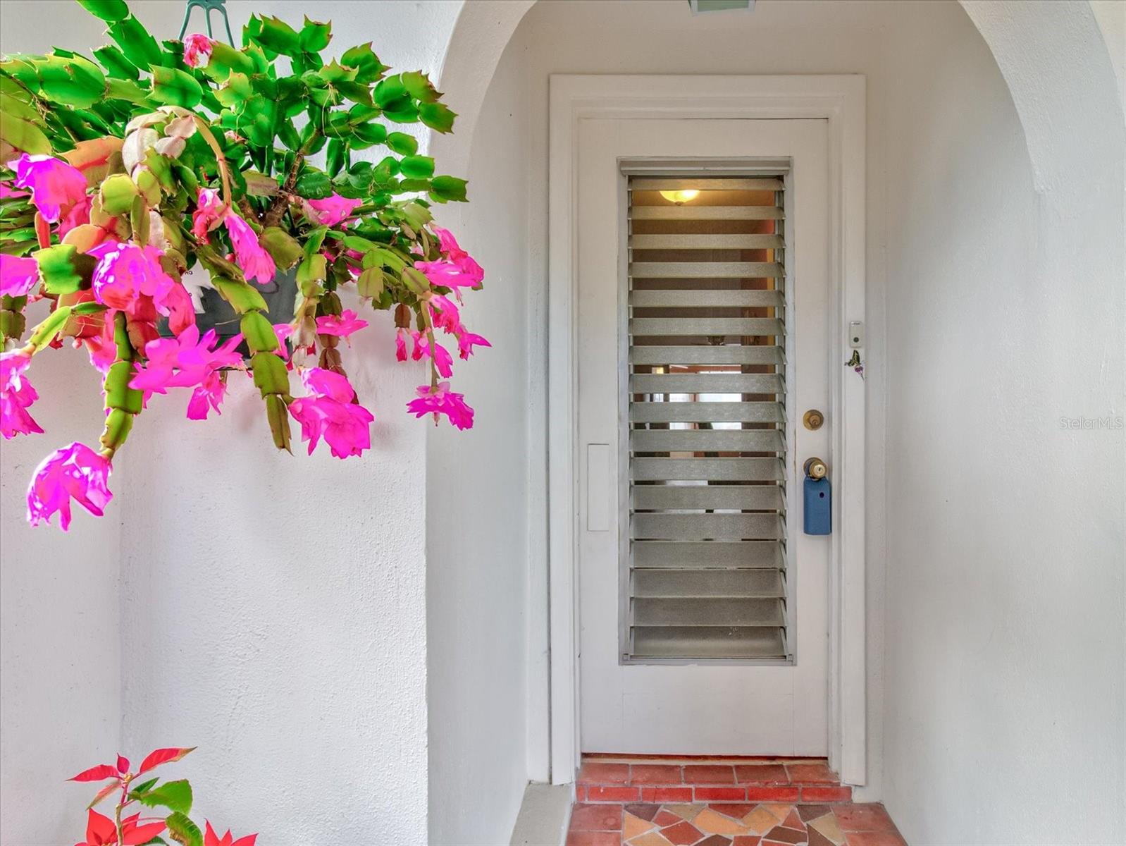 4231 TAMARGO DR #3, NEW PORT RICHEY, FL, 34652