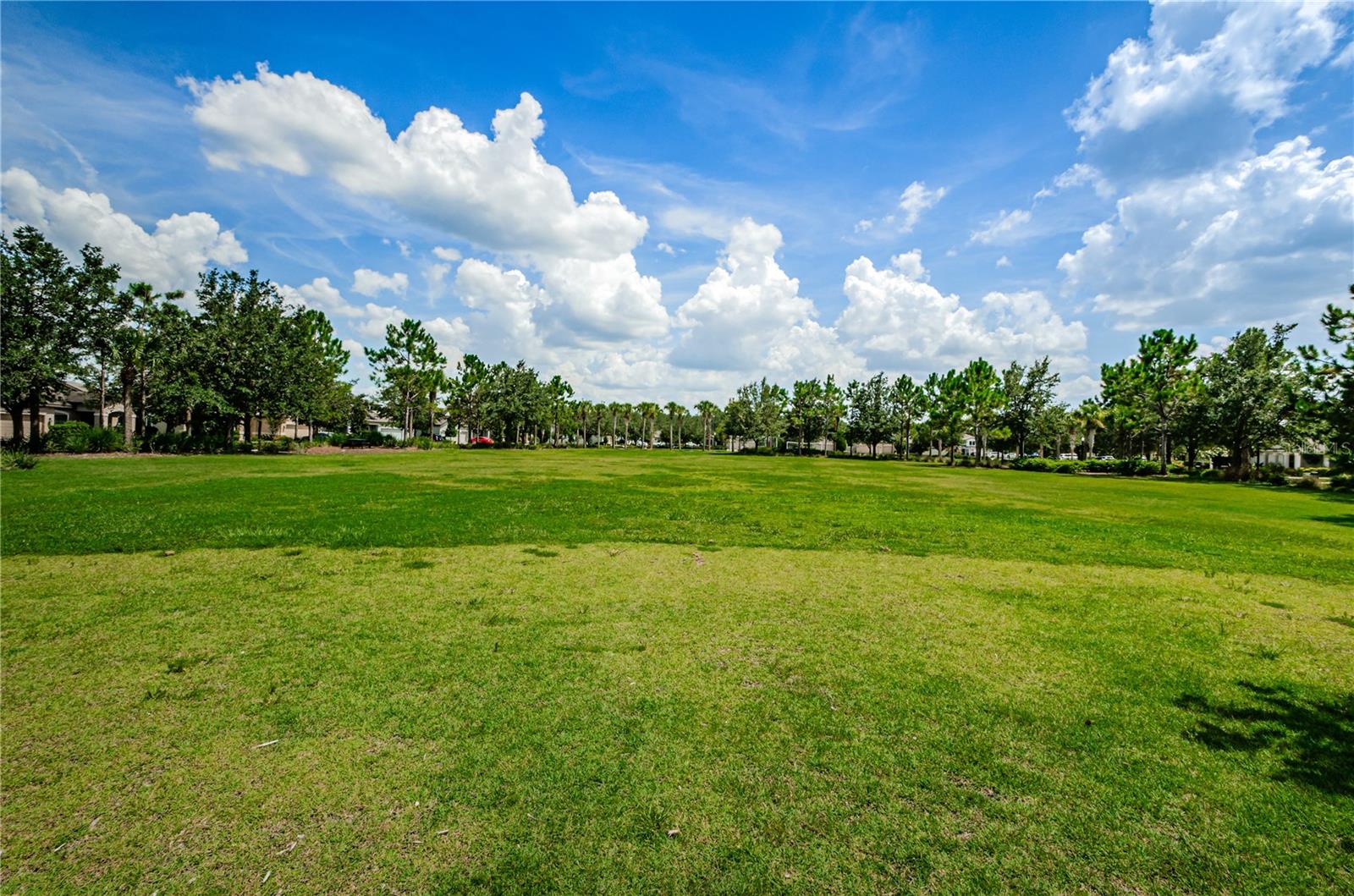 22433 STORYBOOK CABIN WAY, LAND O LAKES, FL, 34637