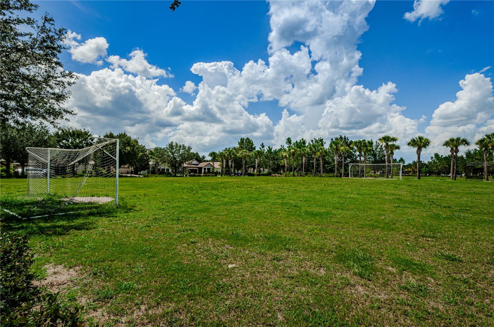 22433 STORYBOOK CABIN WAY, LAND O LAKES, FL, 34637