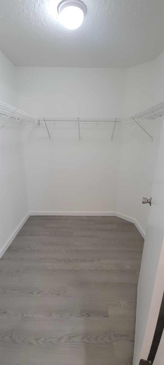 236 ROCHESTER LOOP, DAVENPORT, FL, 33897