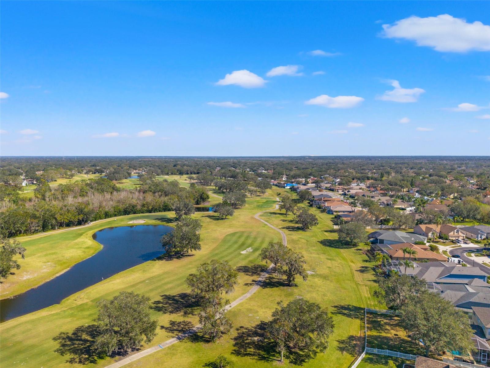 1505 CROOKED STICK DR, VALRICO, FL, 33596