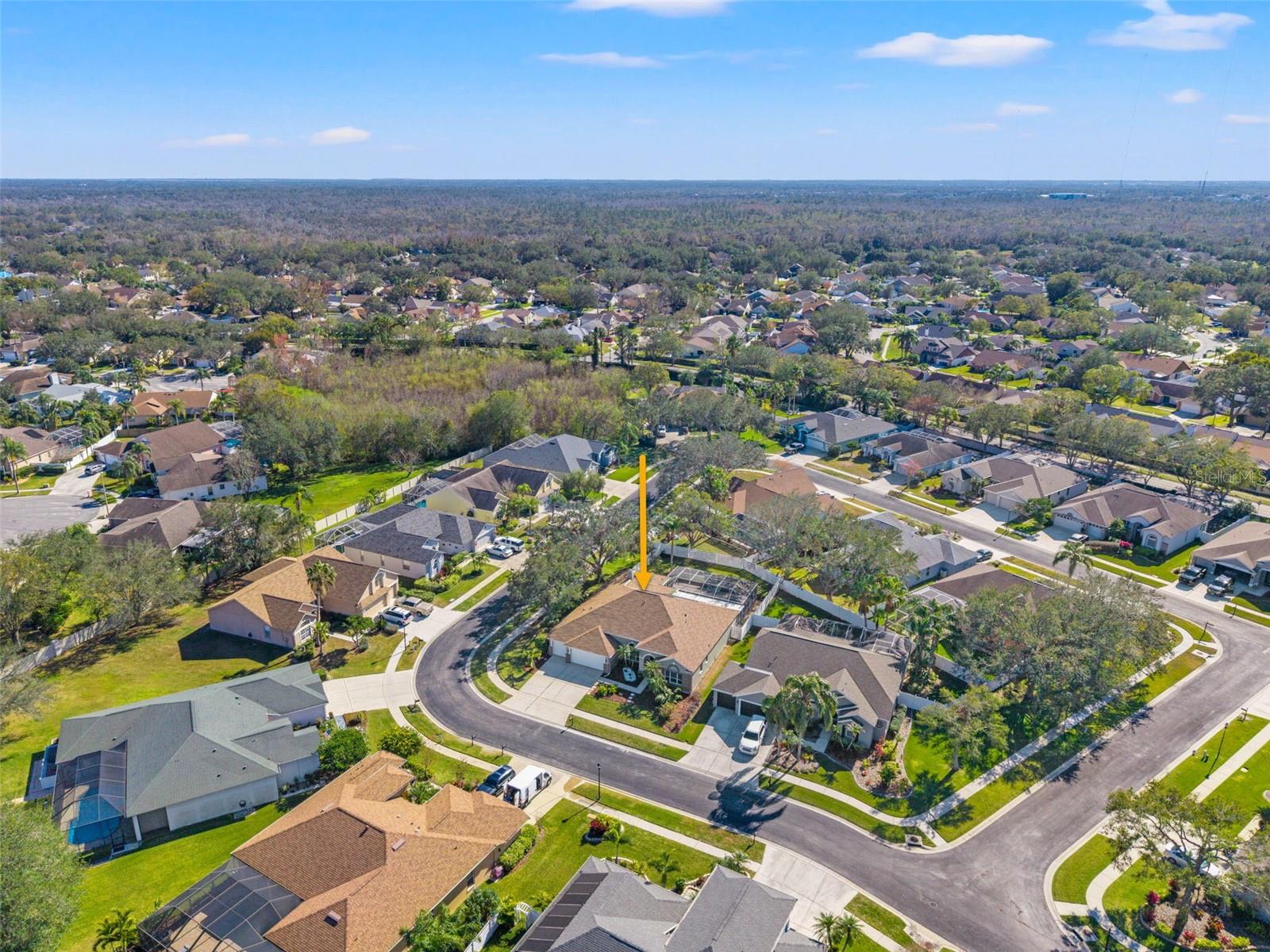 1505 CROOKED STICK DR, VALRICO, FL, 33596