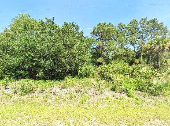 445 S PALOMINO ST, CLEWISTON, FL, 33440