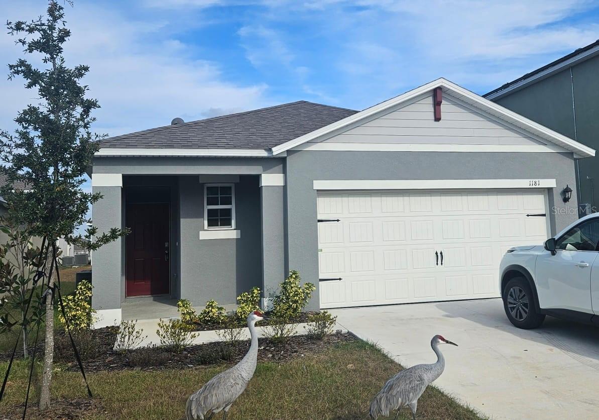 1181 CASCADES AVE, DAVENPORT, FL, 33837