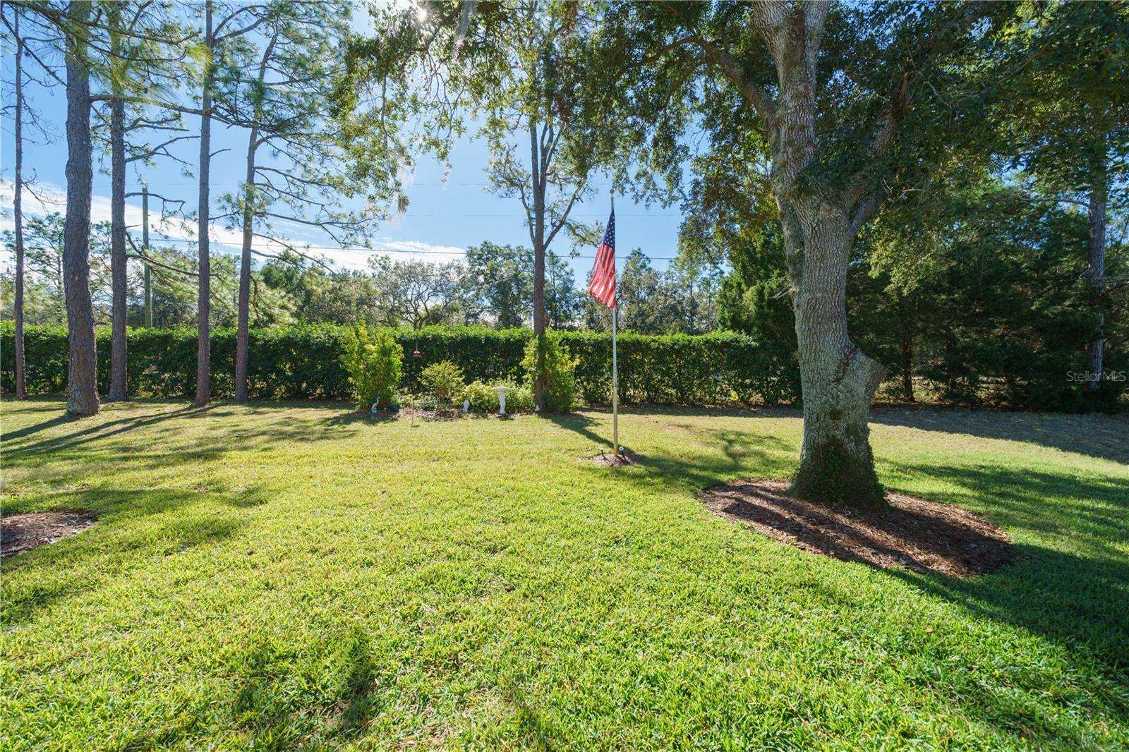 11440 BARONWOOD CT, HUDSON, FL, 34667