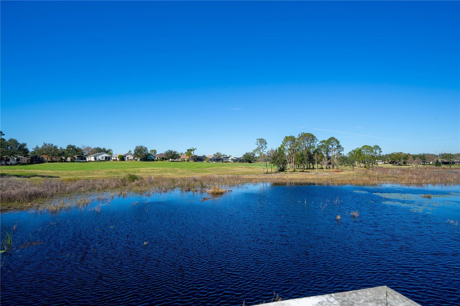 11440 BARONWOOD CT, HUDSON, FL, 34667