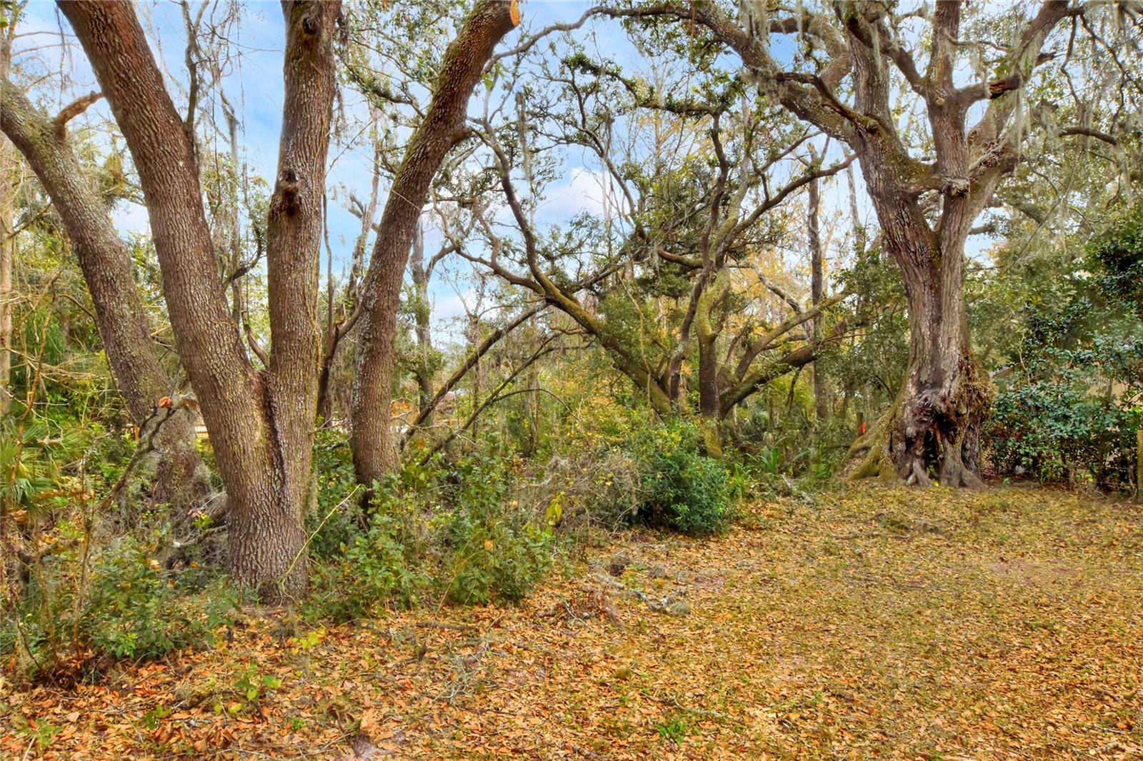 11735 KNIGHTS GRIFFIN RD, THONOTOSASSA, FL, 33592