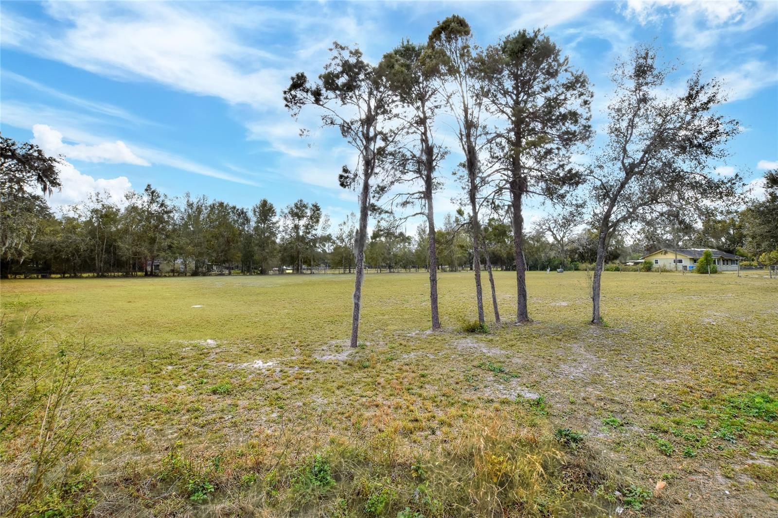 11735 KNIGHTS GRIFFIN RD, THONOTOSASSA, FL, 33592