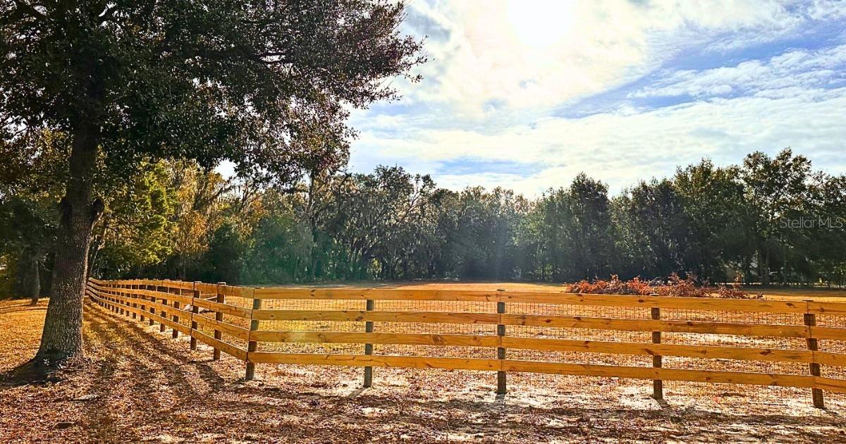 11735 KNIGHTS GRIFFIN RD, THONOTOSASSA, FL, 33592