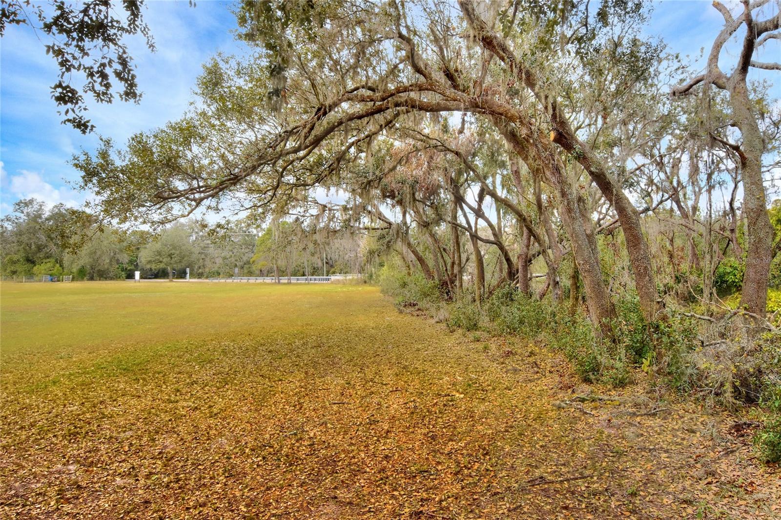 11735 KNIGHTS GRIFFIN RD, THONOTOSASSA, FL, 33592