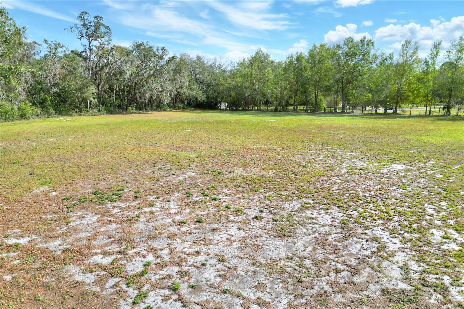 11735 KNIGHTS GRIFFIN RD, THONOTOSASSA, FL, 33592