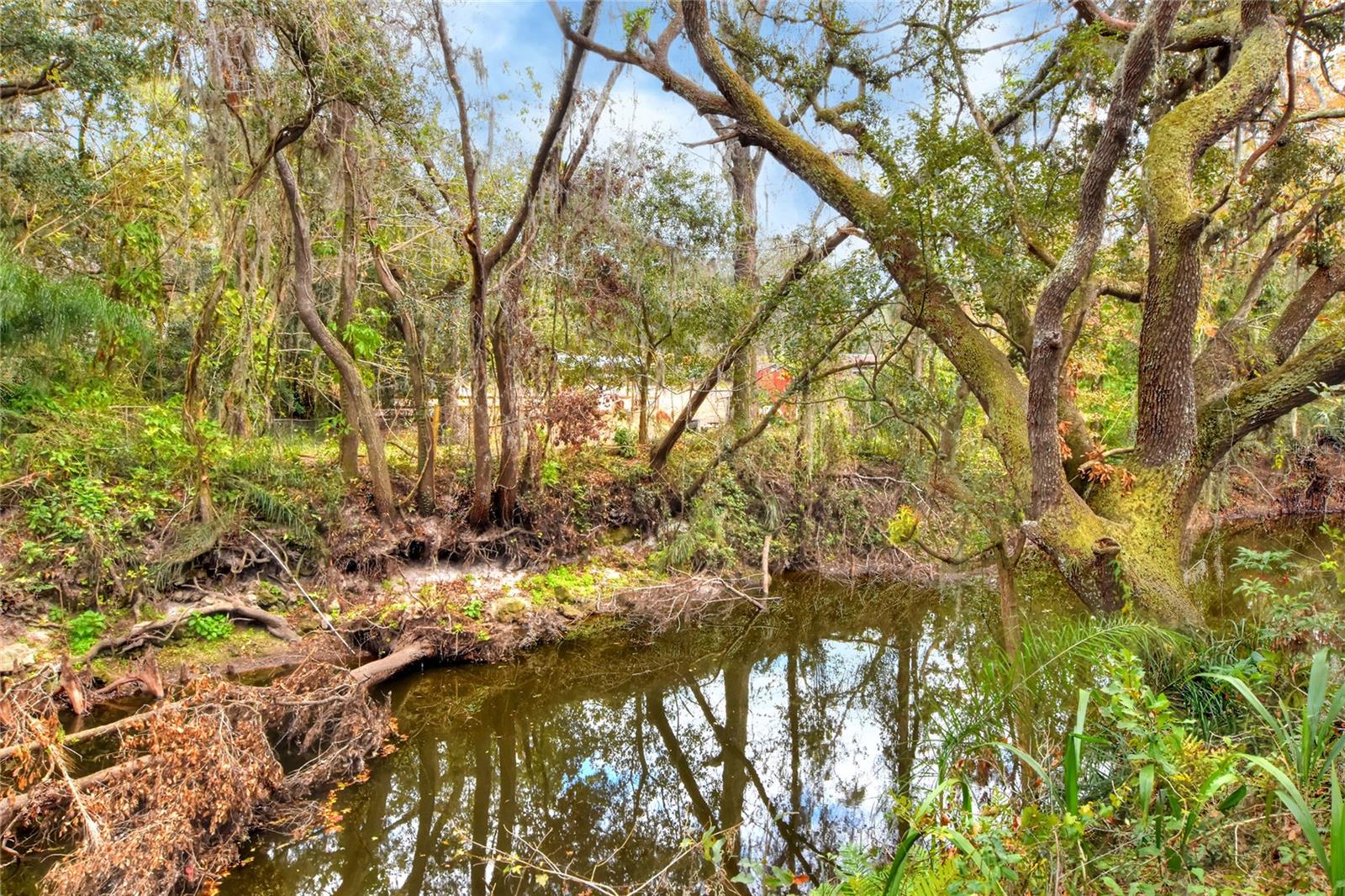 11735 KNIGHTS GRIFFIN RD, THONOTOSASSA, FL, 33592