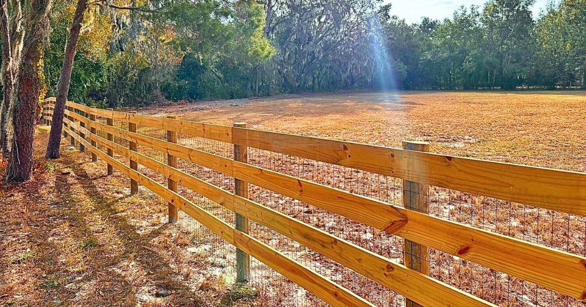 11735 KNIGHTS GRIFFIN RD, THONOTOSASSA, FL, 33592