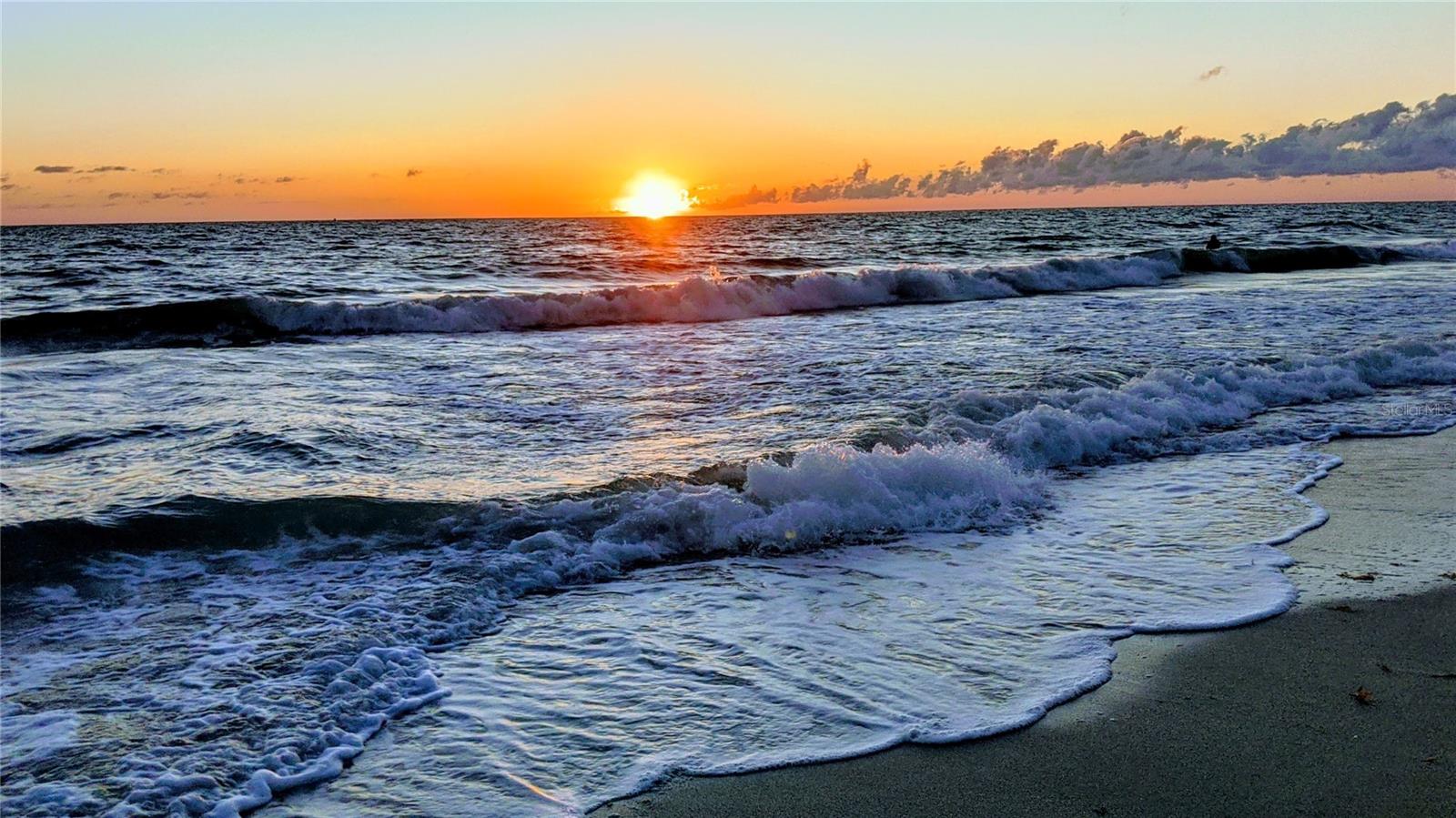 19716 FISHHAWK TRL, VENICE, FL, 34293