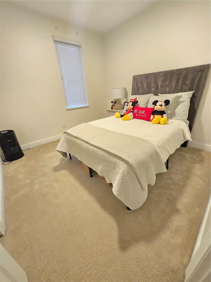 8877 LAKESHORE POINTE DR, WINTER GARDEN, FL, 34787