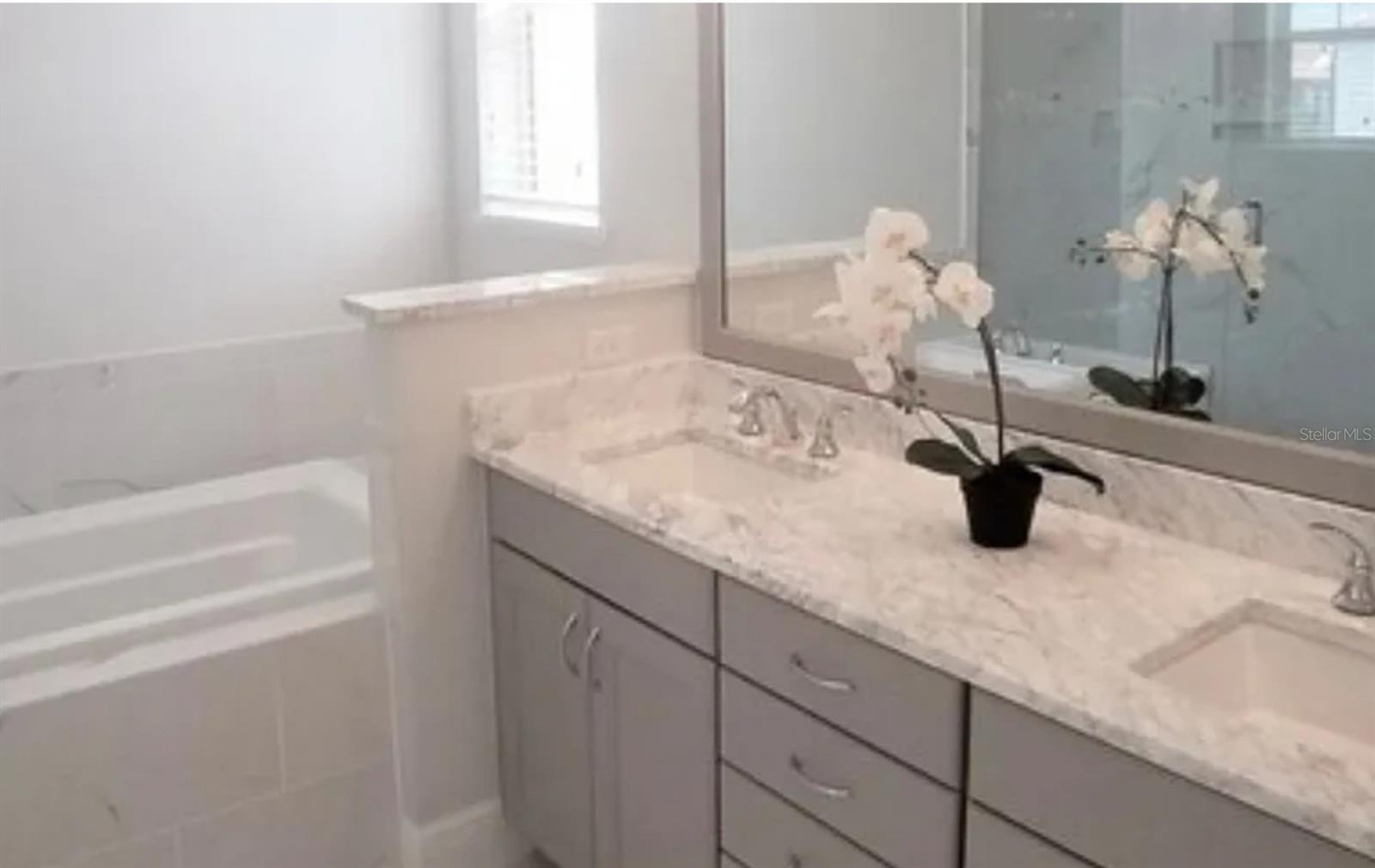 8877 LAKESHORE POINTE DR, WINTER GARDEN, FL, 34787