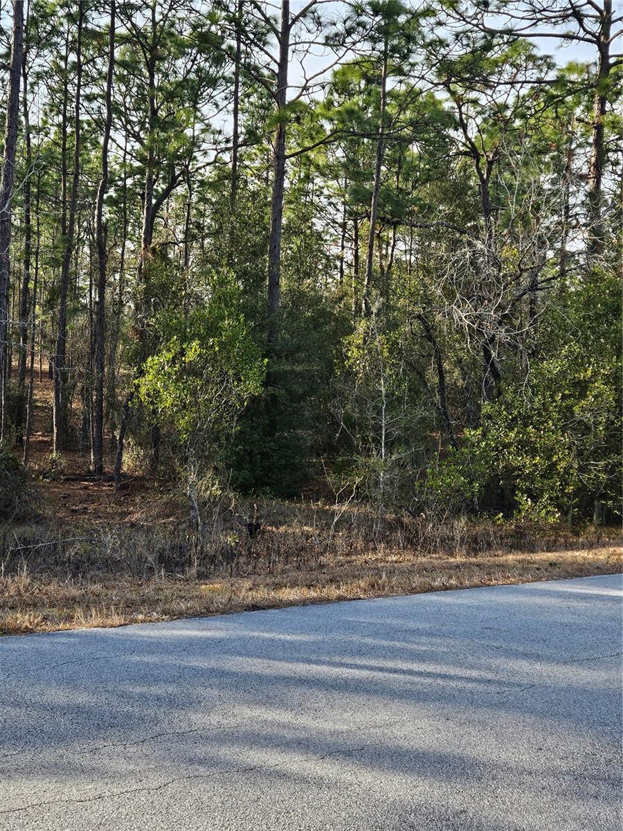 SW ADMIRAL LANDING DR., DUNNELLON, FL, 34431