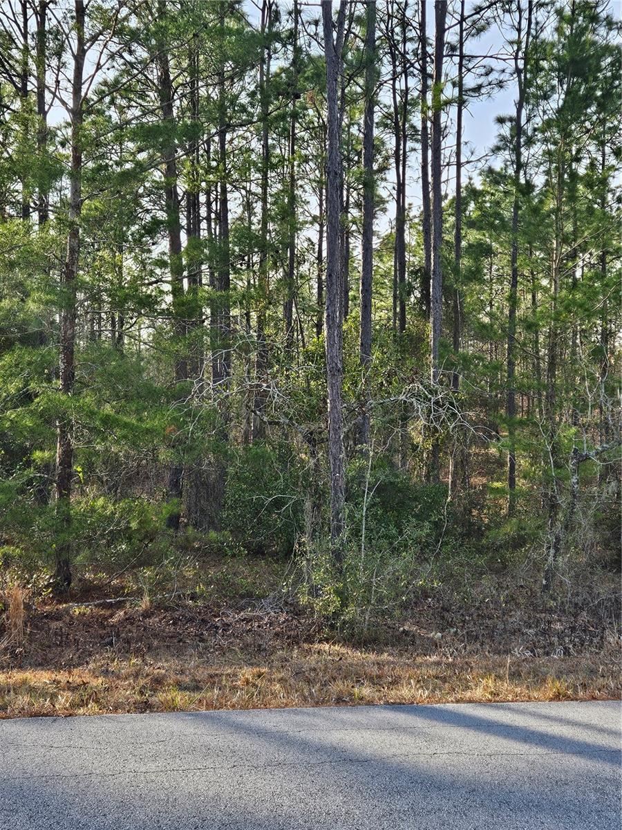 SW ADMIRAL LANDING DR., DUNNELLON, FL, 34431