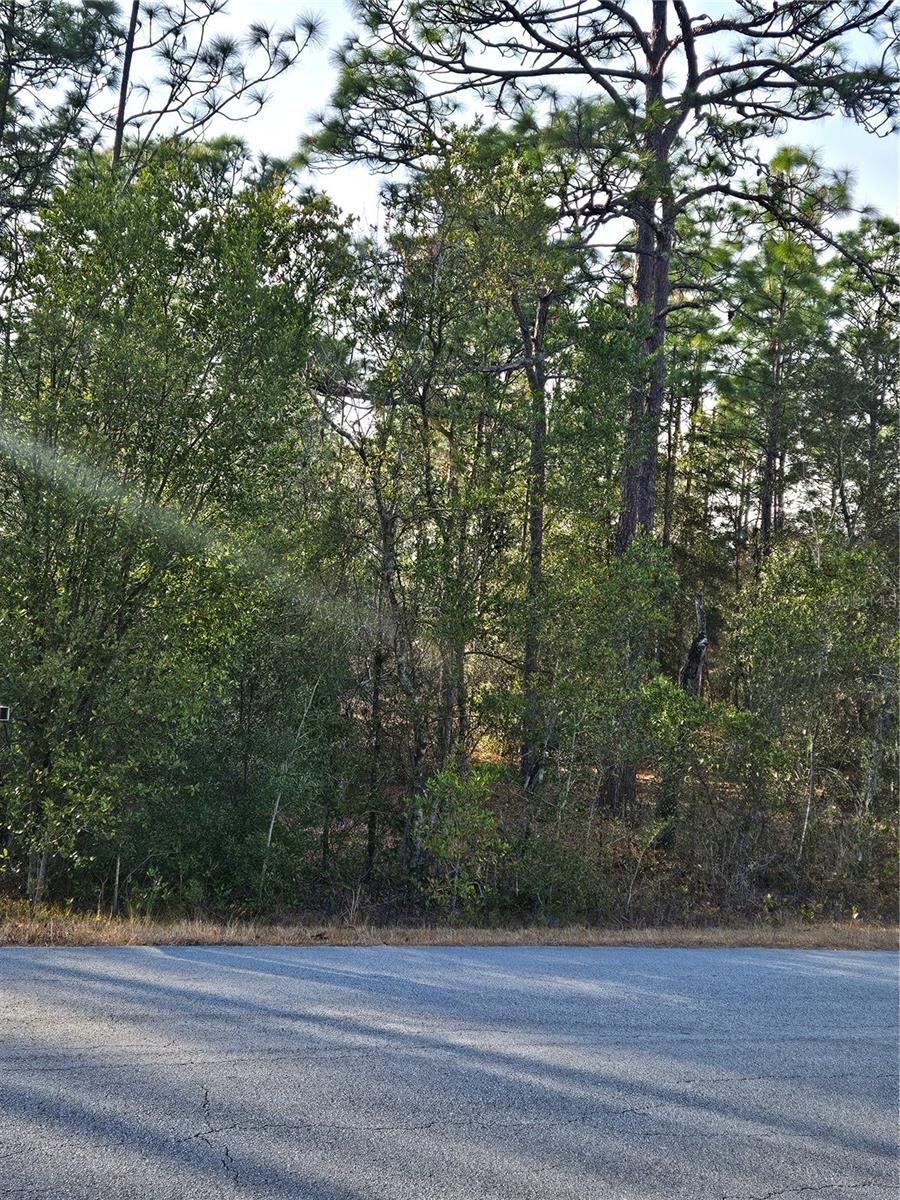 SW ADMIRAL LANDING DR., DUNNELLON, FL, 34431