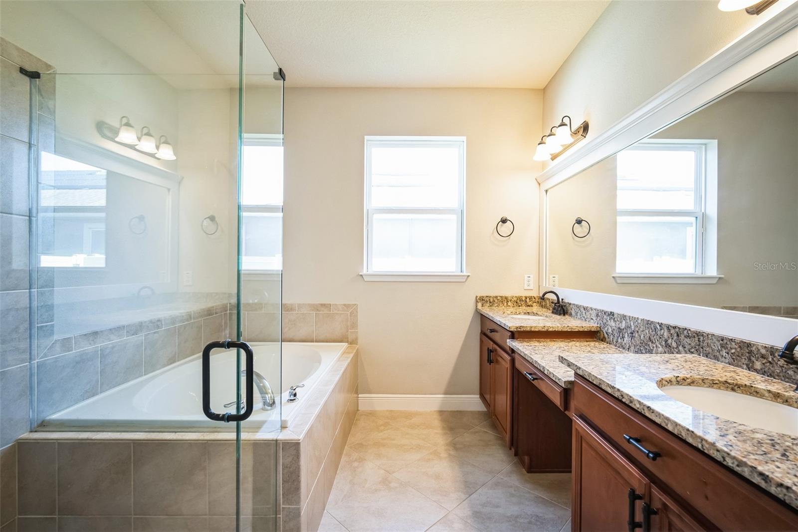 18992 ROSEATE DR, LUTZ, FL, 33558