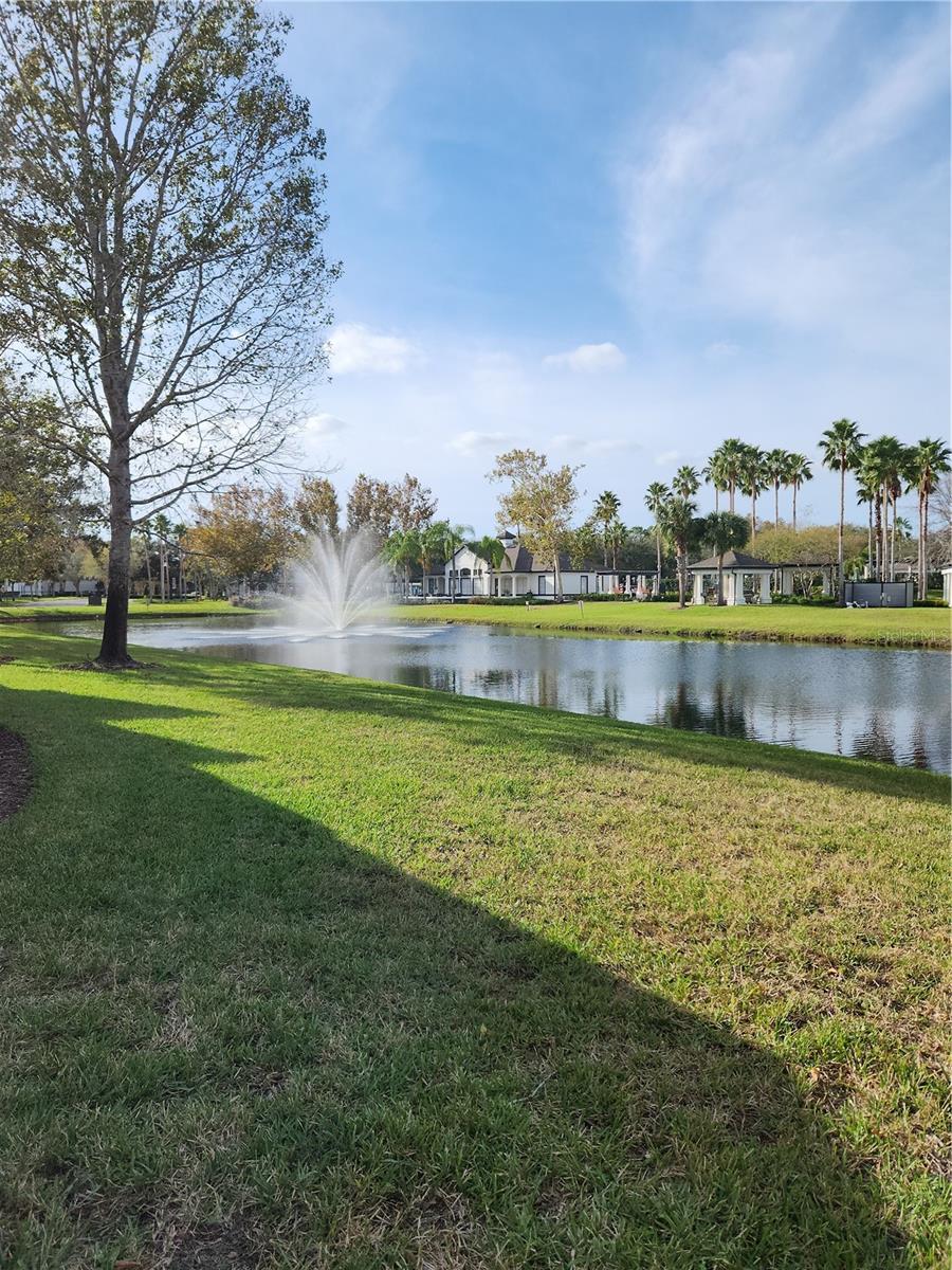 3653 KINGS RD #101, PALM HARBOR, FL, 34685