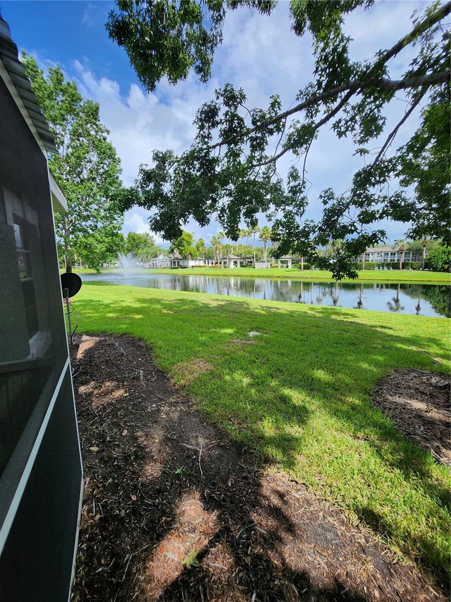 3653 KINGS RD #101, PALM HARBOR, FL, 34685