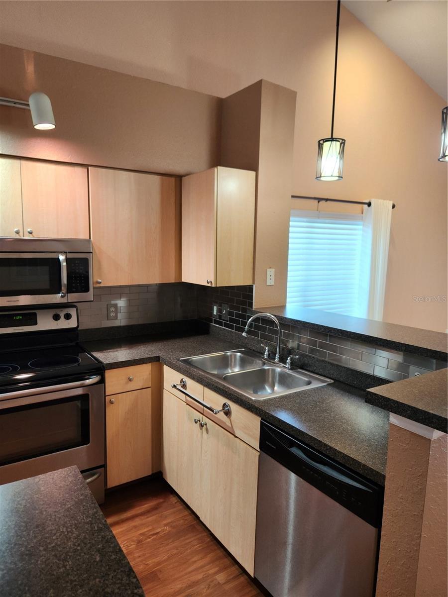 3653 KINGS RD #101, PALM HARBOR, FL, 34685