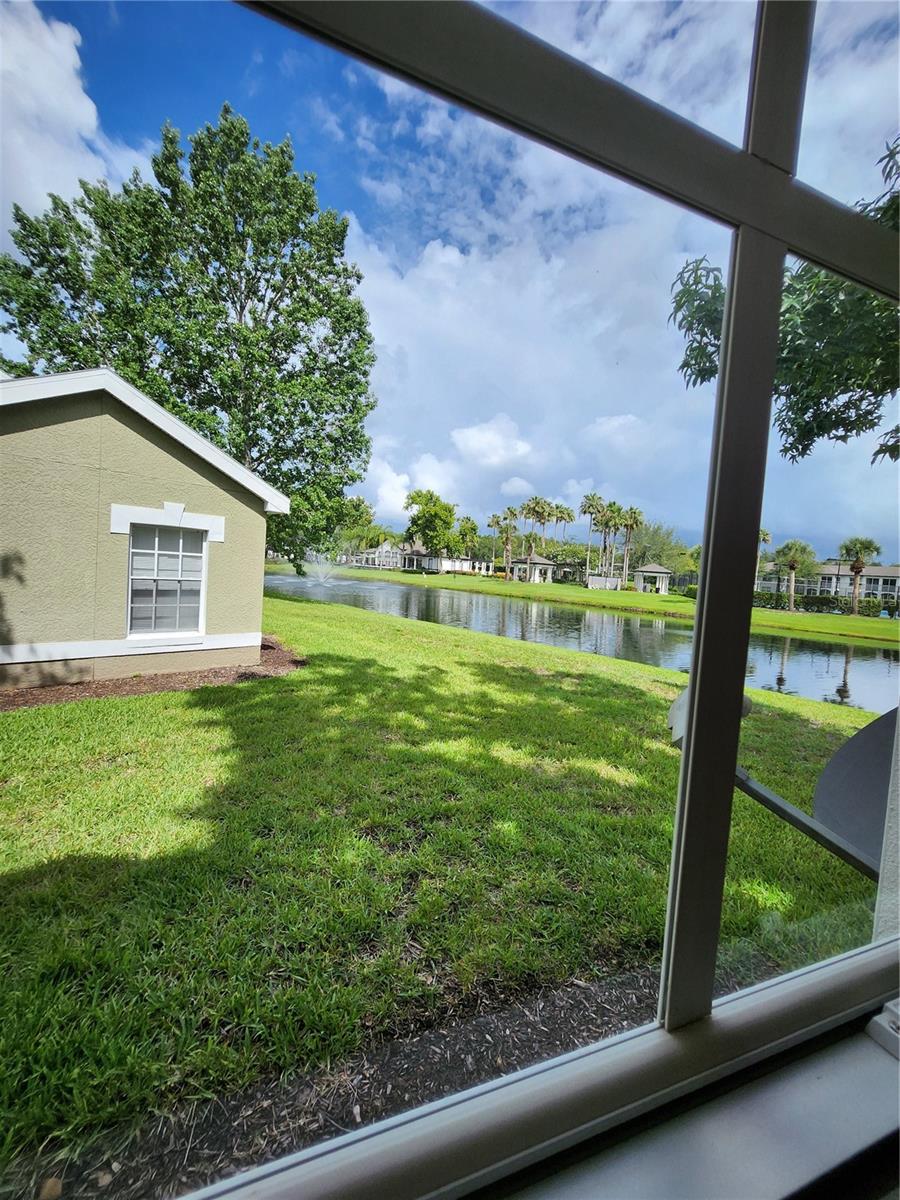 3653 KINGS RD #101, PALM HARBOR, FL, 34685