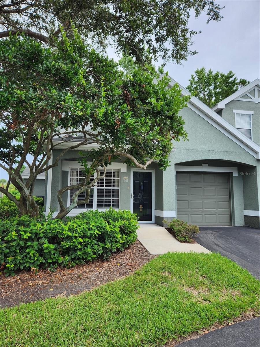 3653 KINGS RD #101, PALM HARBOR, FL, 34685