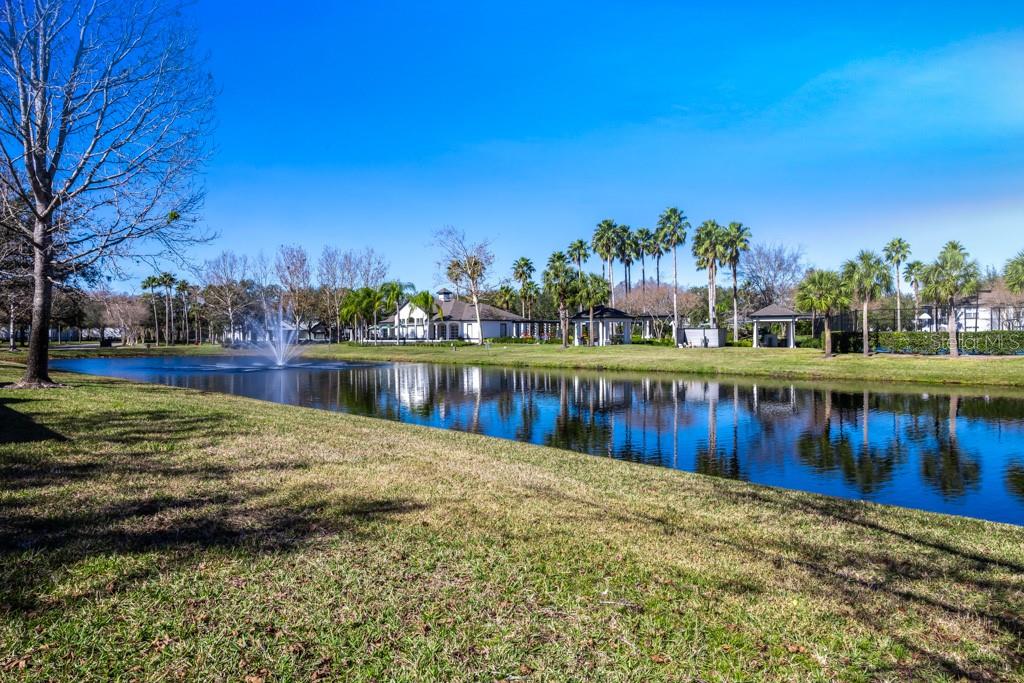 3653 KINGS RD #101, PALM HARBOR, FL, 34685