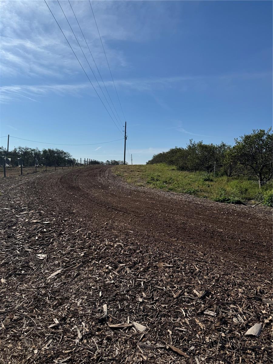 PUNKIN CENTER RD, LEESBURG, FL, 34748