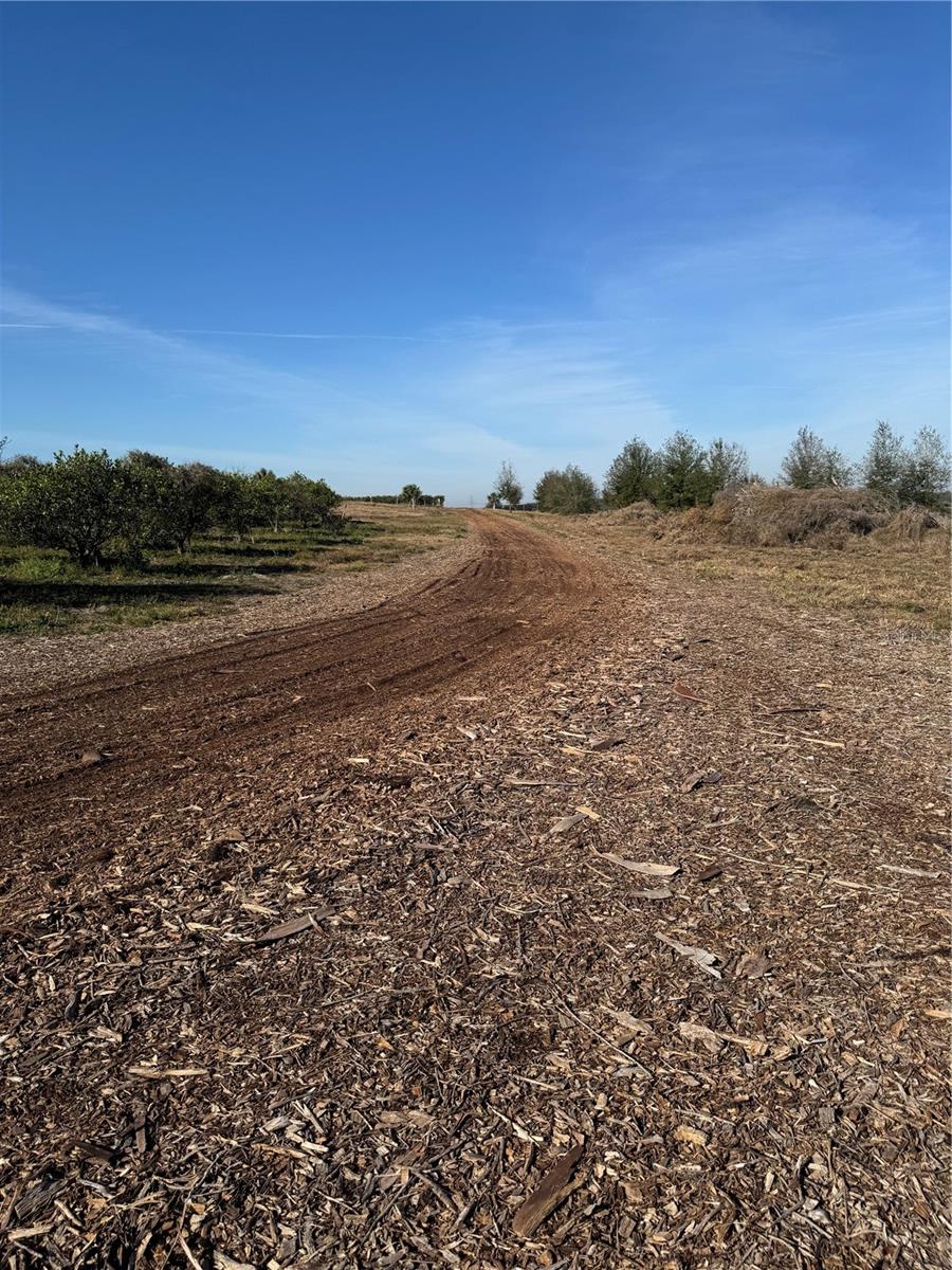 PUNKIN CENTER RD, LEESBURG, FL, 34748