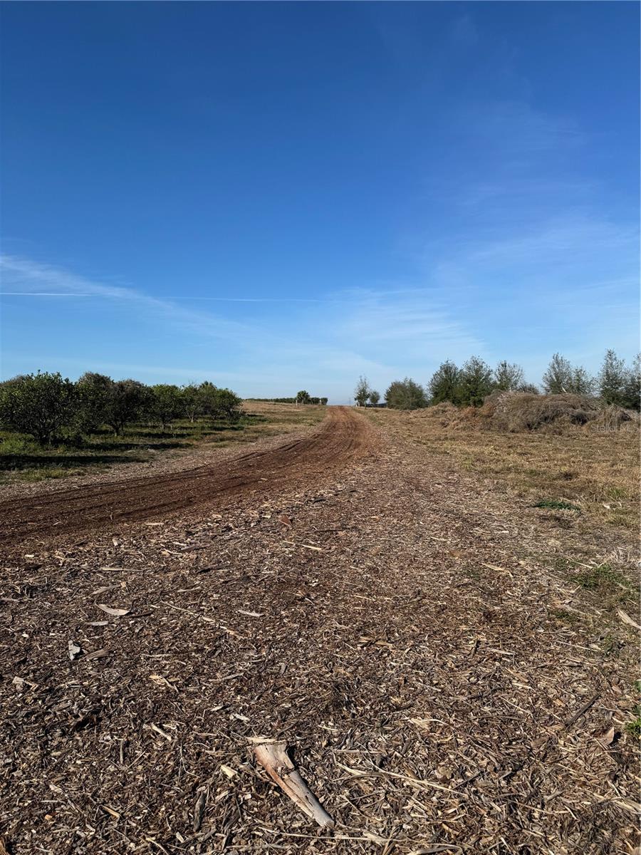 PUNKIN CENTER RD, LEESBURG, FL, 34748