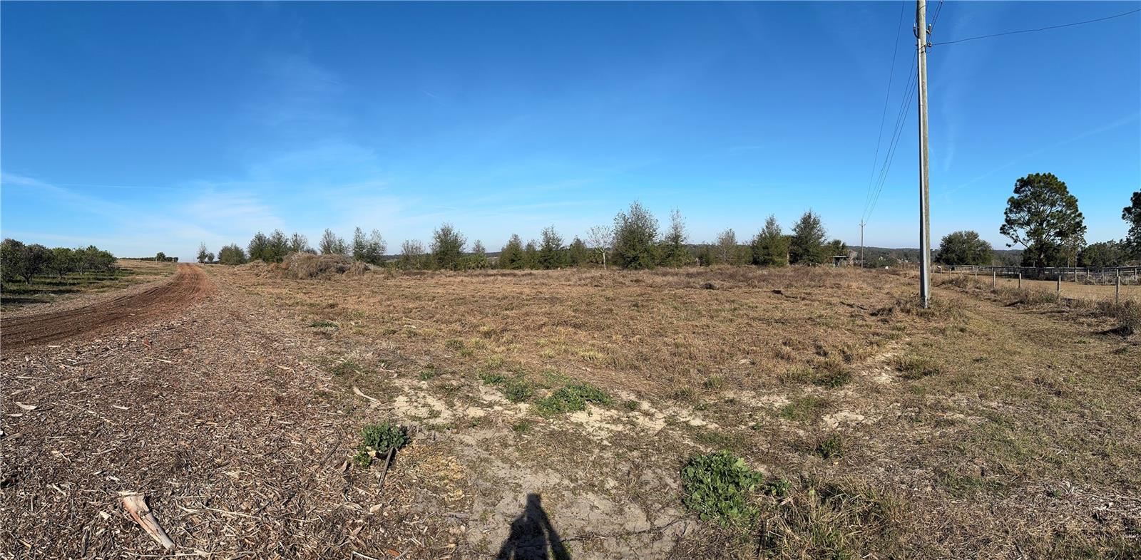 PUNKIN CENTER RD, LEESBURG, FL, 34748