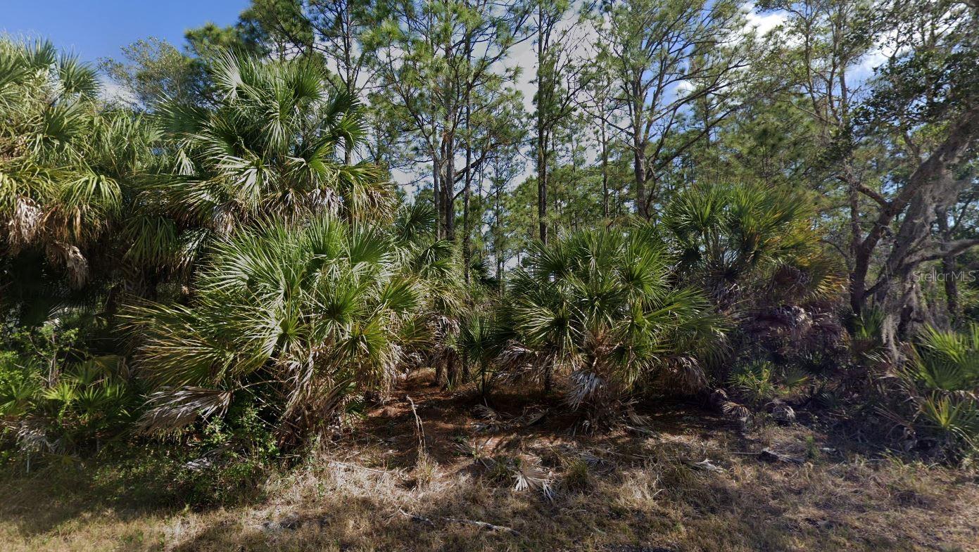 15256 REBECCA AVE, PORT CHARLOTTE, FL, 33953