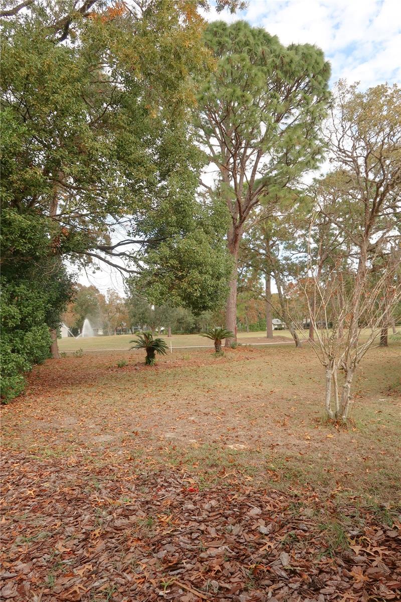 44 GOLFVIEW CT, HOMOSASSA, FL, 34446